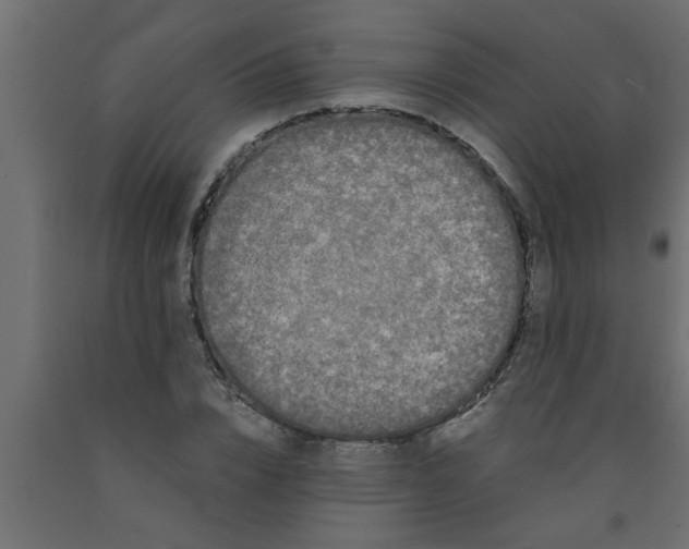 X0000090860832200708241857