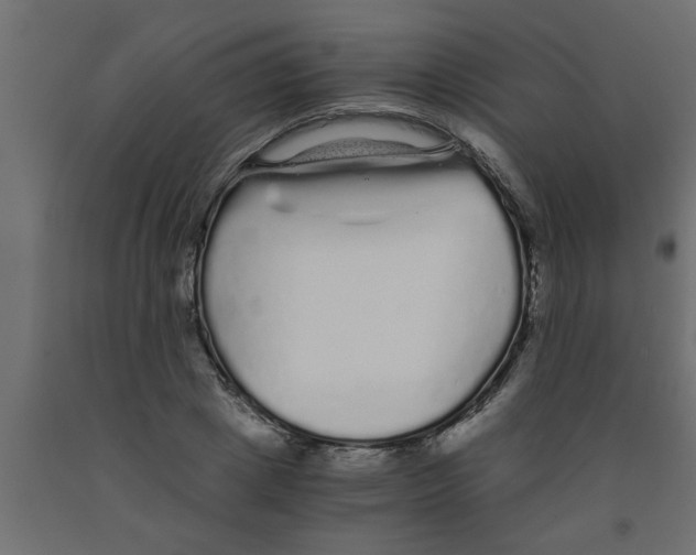 X0000090860833200708241857