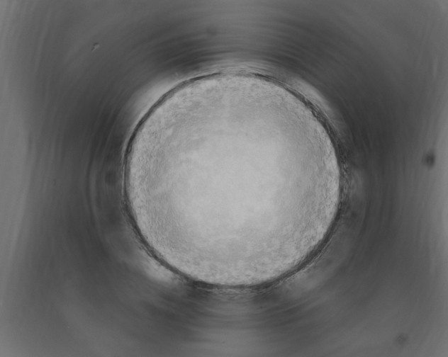 X0000090860836200708241857