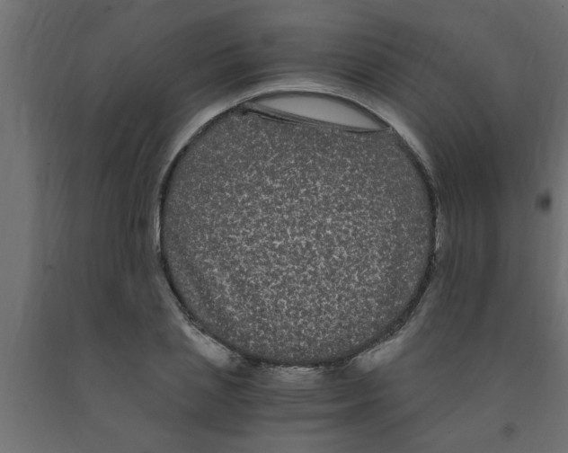 X0000090860837200708241857