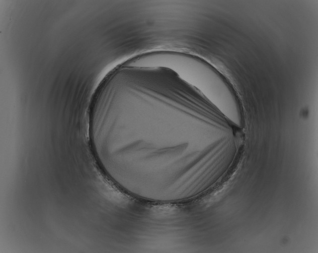 X0000090860838200708241857