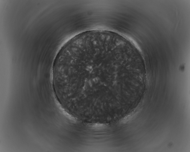 X0000090860839200708241857