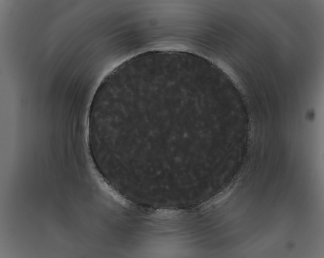 X0000090860840200708241857