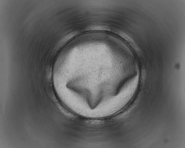 X0000090860841200708241857