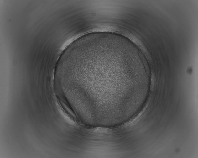 X0000090860842200708241857