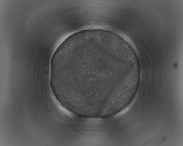 X0000090860844200708241857