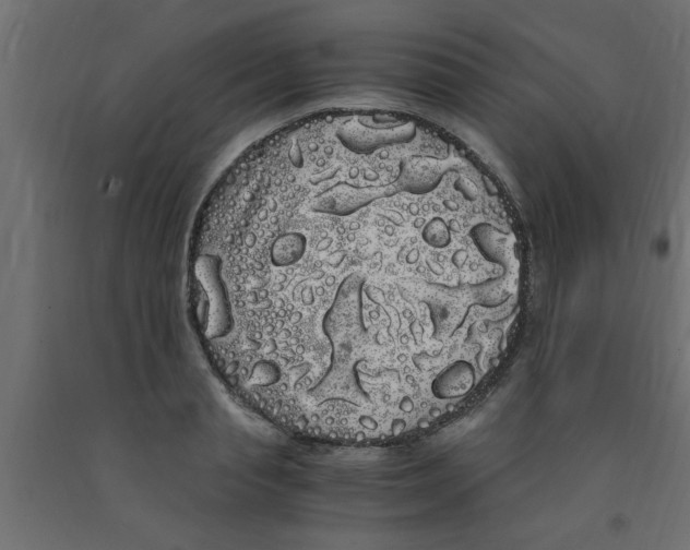 X0000090860845200708241857