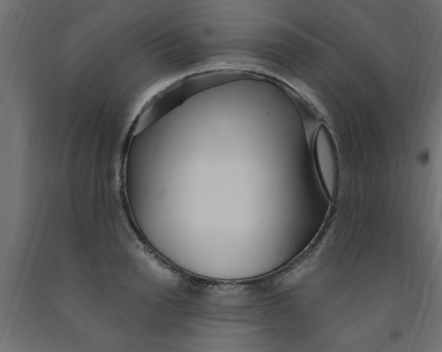 X0000090860846200708241857