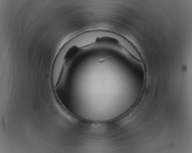 X0000090860850200708241857