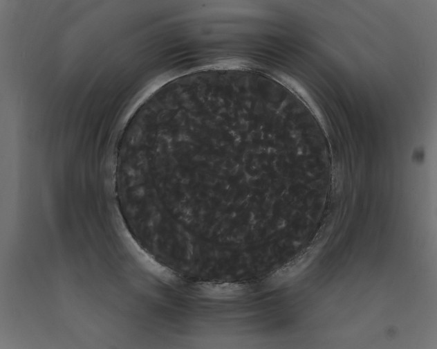 X0000090860851200708241857