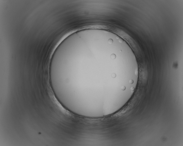 X0000090860852200708241857