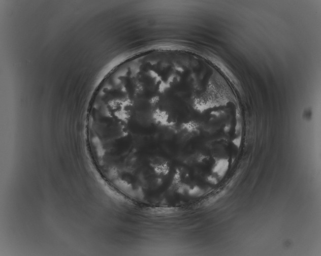 X0000090860853200708241857