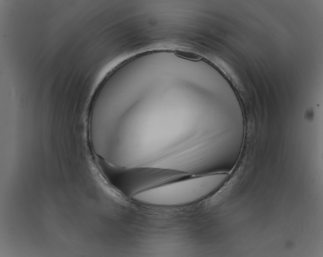 X0000090860854200708241857