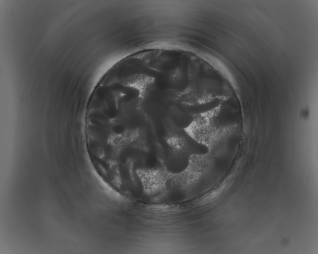 X0000090860855200708241857