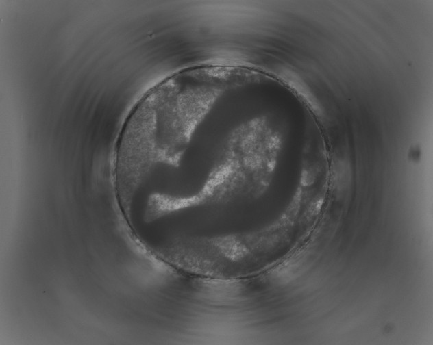 X0000090860856200708241857