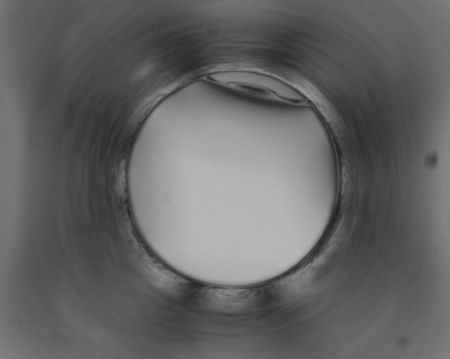 X0000090860857200708241857