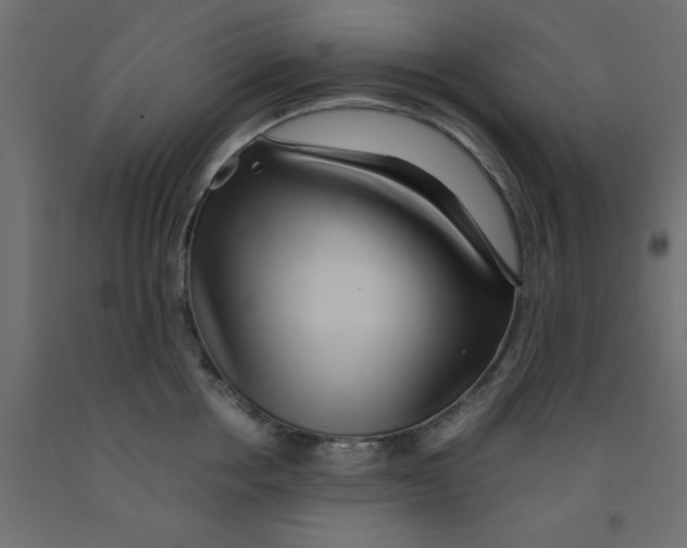 X0000090860858200708241857