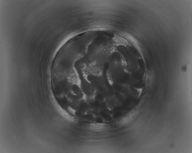 X0000090860859200708241857