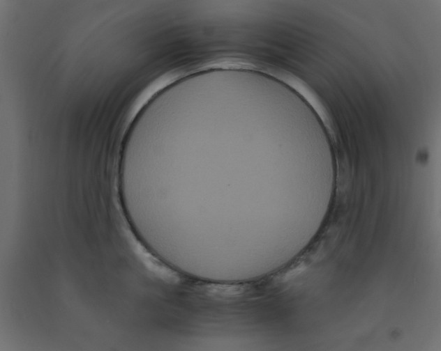 X0000090860861200708241857