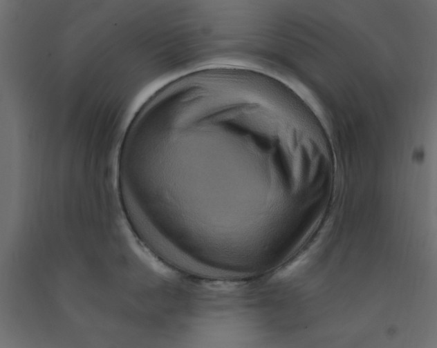 X0000090860862200708241857