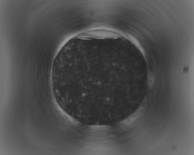 X0000090860863200708241857