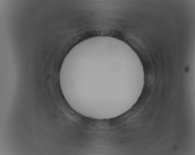 X0000090860865200708241856