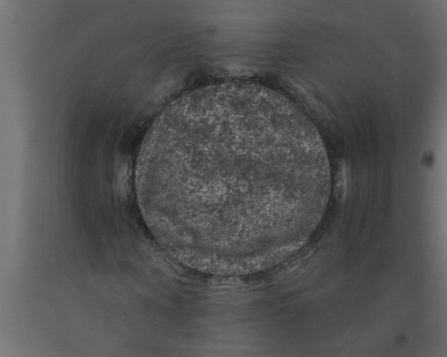 X0000090860866200708241856