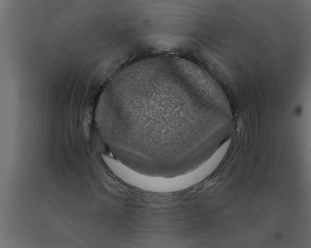 X0000090860868200708241856