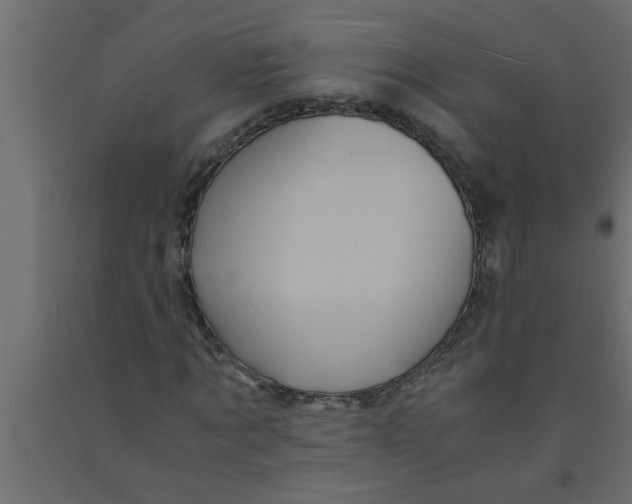 X0000090860869200708241856