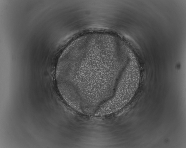 X0000090860870200708241856