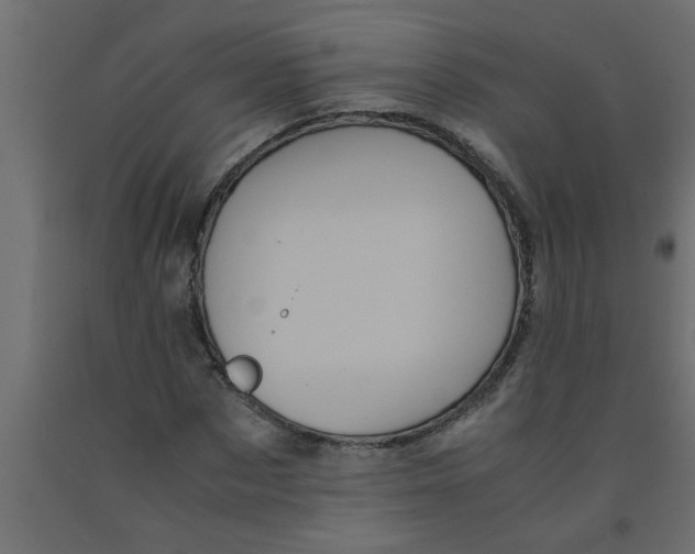 X0000090860873200708241856