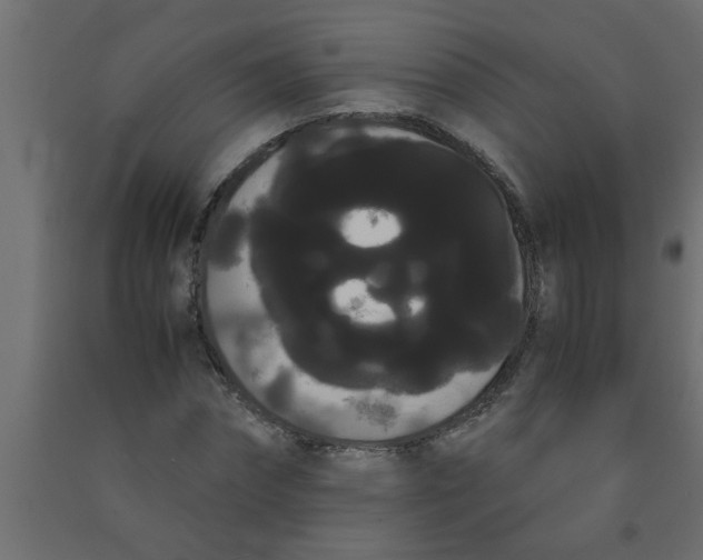 X0000090860874200708241856