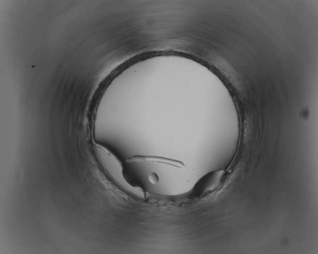 X0000090860876200708241856