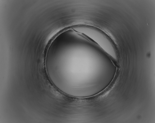 X0000090860877200708241856