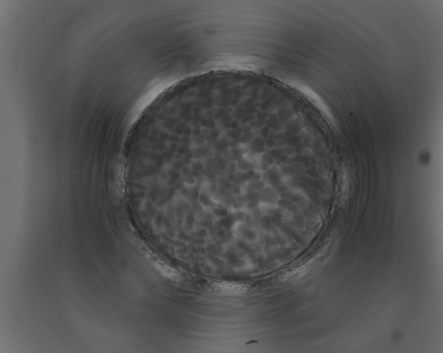 X0000090860878200708241856