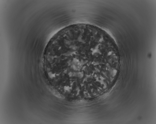 X0000090860879200708241856