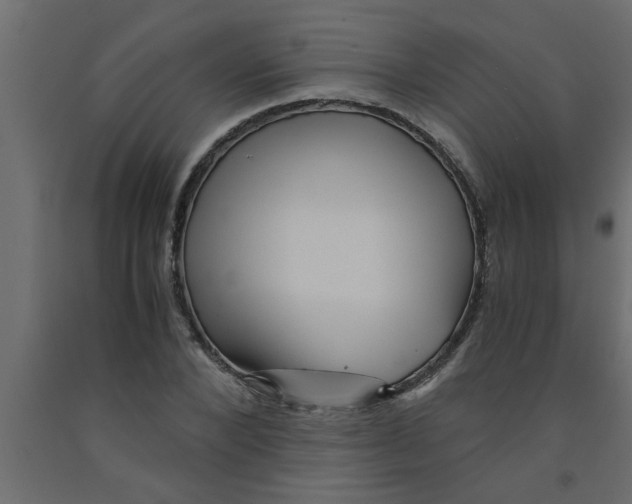 X0000090860880200708241856