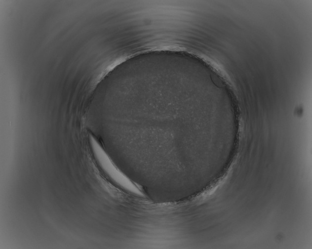 X0000090860881200708241856