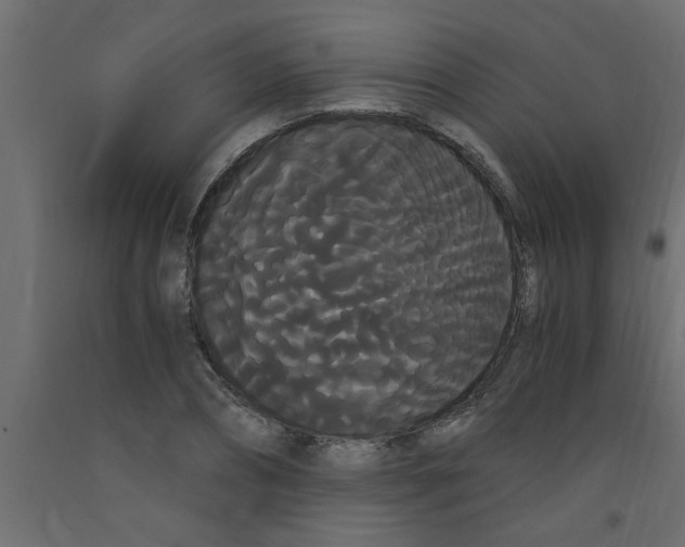 X0000090860882200708241856