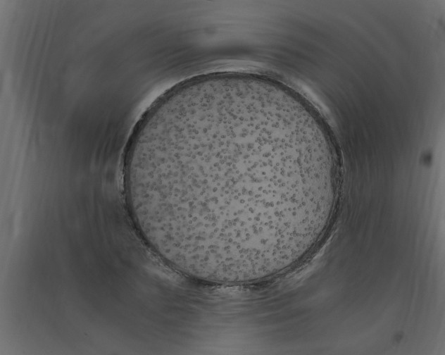 X0000090860883200708241856