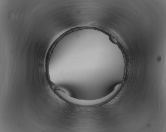 X0000090860884200708241856