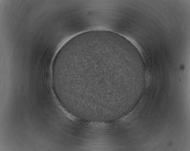 X0000090860886200708241856