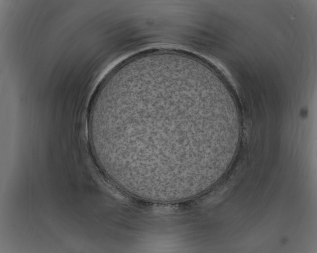 X0000090860887200708241856