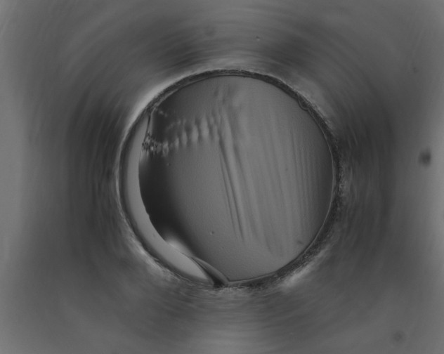 X0000090860888200708241856