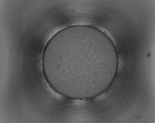 X0000090860890200708241856