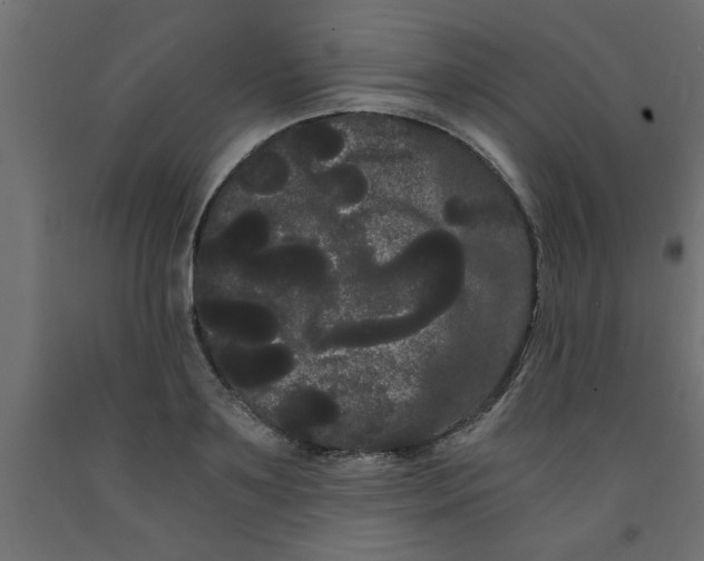 X0000090860891200708241856