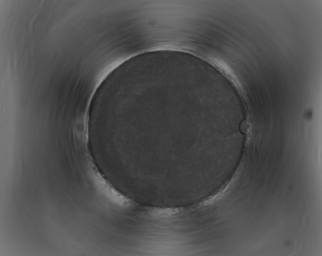 X0000090860892200708241856