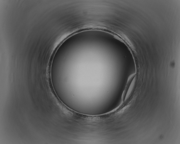 X0000090860893200708241856