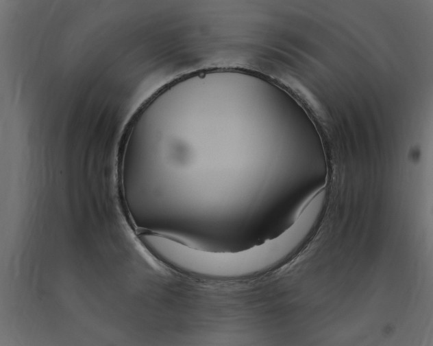 X0000090860894200708241856