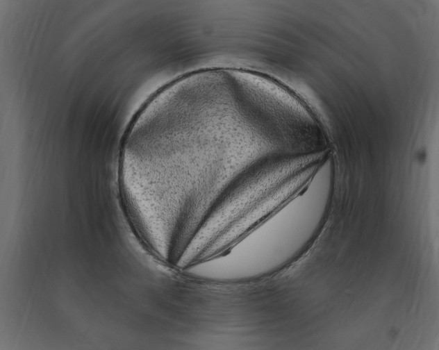 X0000090860896200708241856